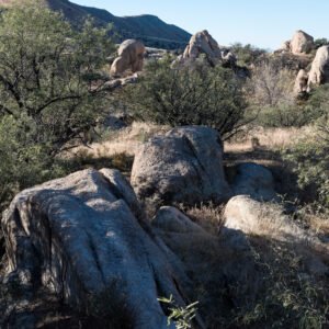 Looking South from Dragoon Road | 2021 Dragoon, Arizona