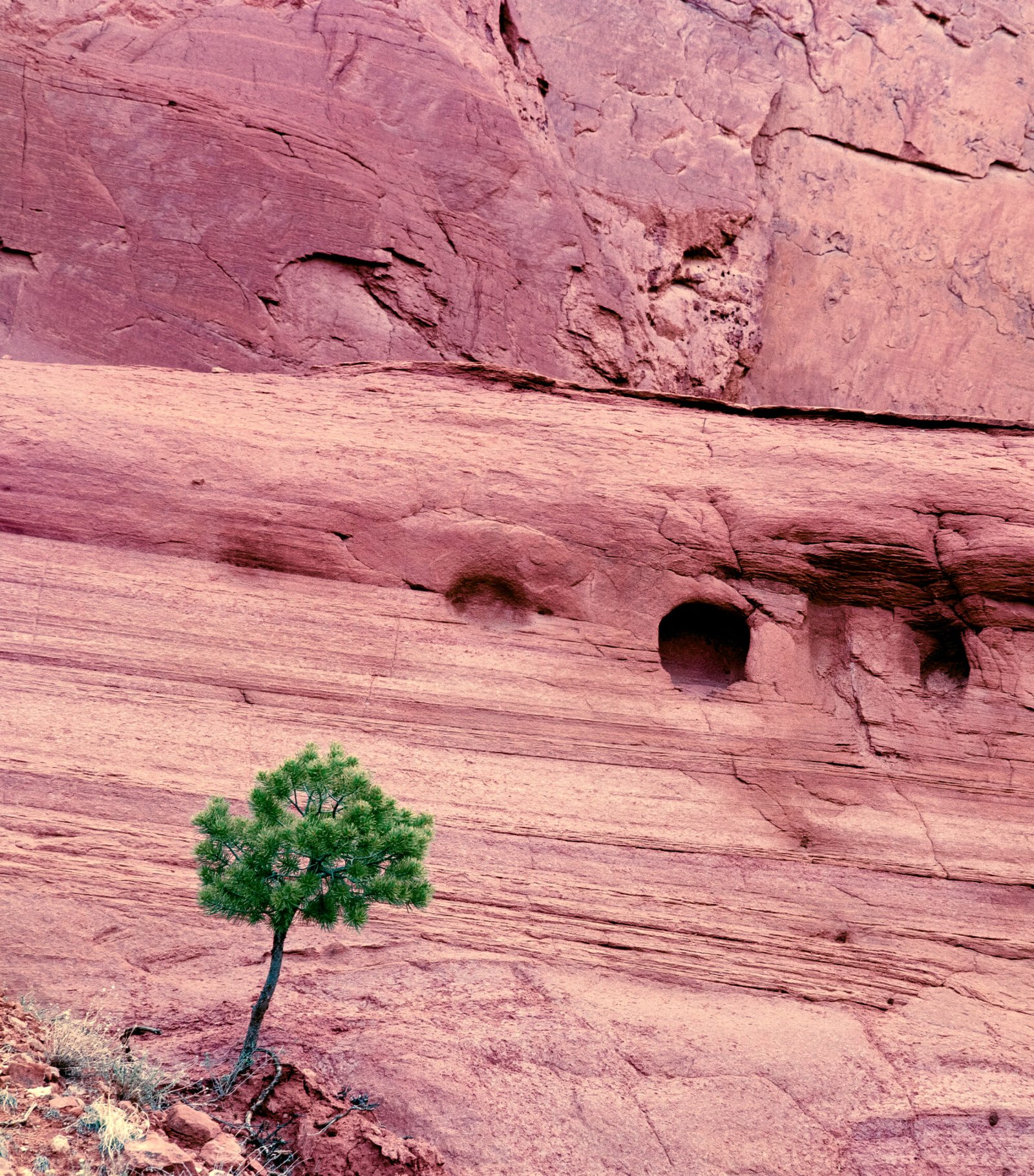 Jemez Pueblo Trail I