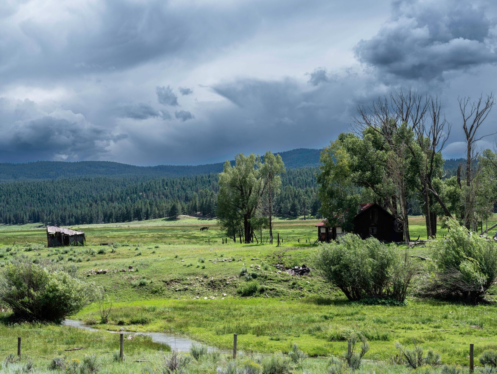 Old Homestead