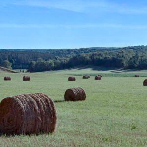 Hay Bales | 2022 North of Harbor Springs, Michigan 4x5 Kodak Ektar 100