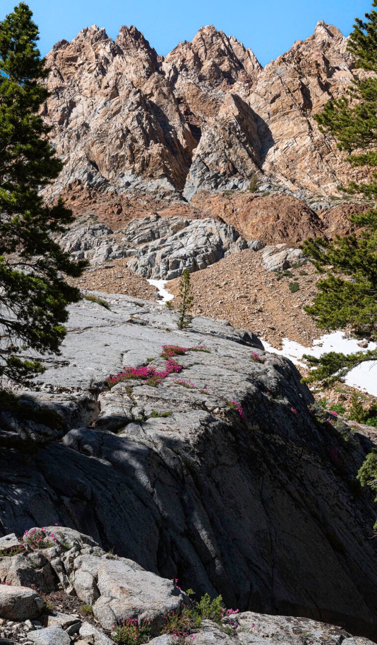 Palisades | 2023 Inyo National Forest, California