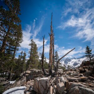 Towards Bishop Pass-South Lake | 2023 Inyo National Forest, California