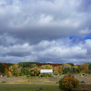 Barn in Sunlight | 2023 North of Harbor Springs, Michigan