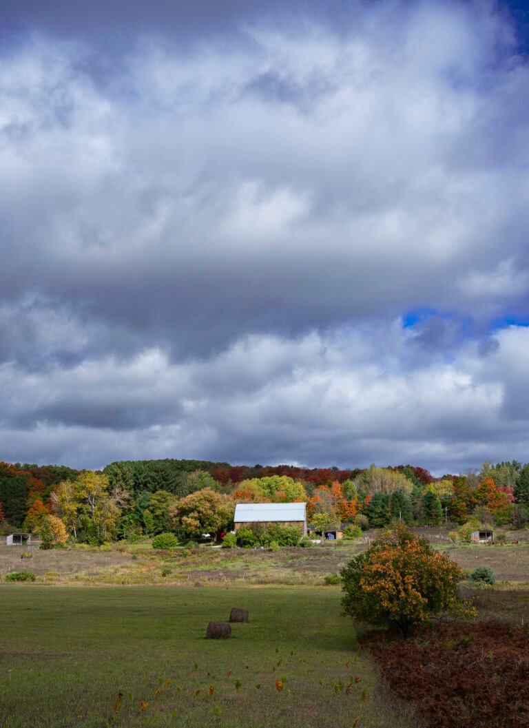 Barn in Sunlight | 2023 North of Harbor Springs, Michigan