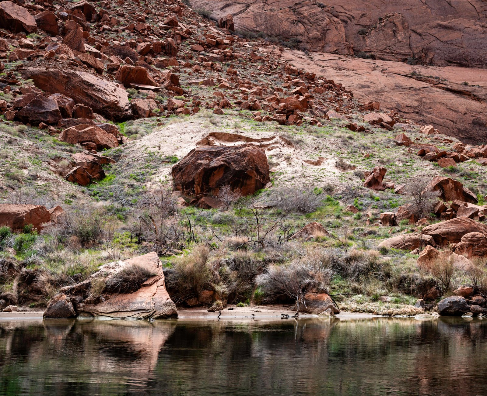 Horseshoe Bend I