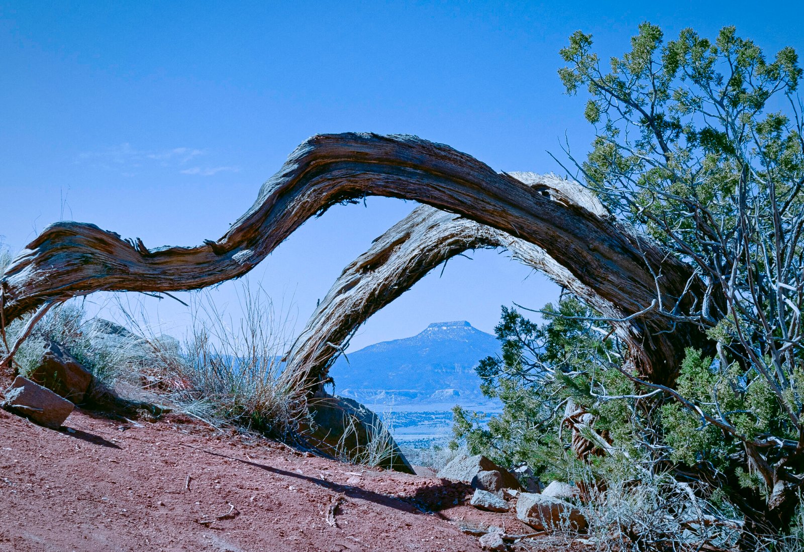 Cerro Pedernal Ghost Ranch