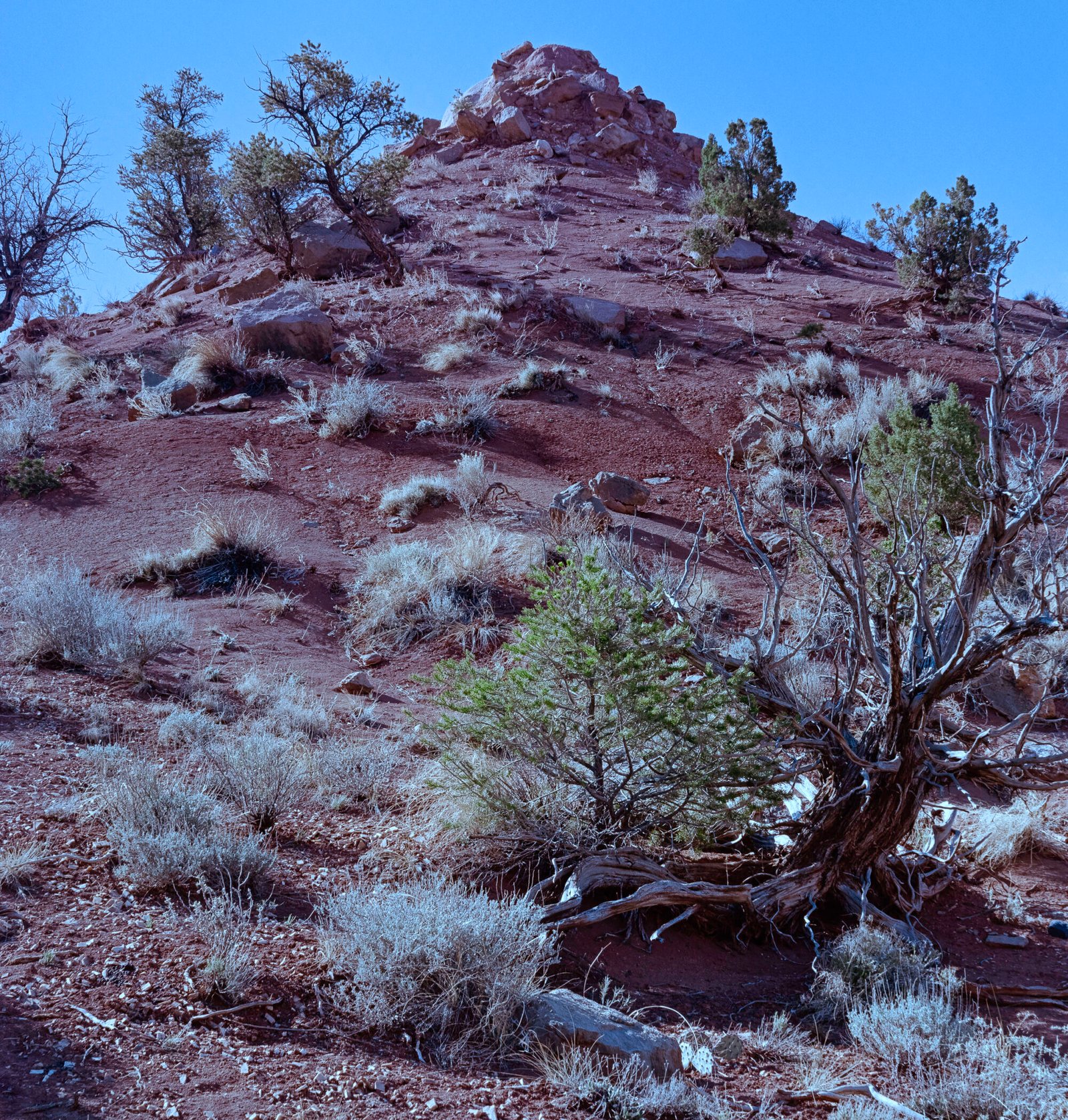 Ghost Ranch I