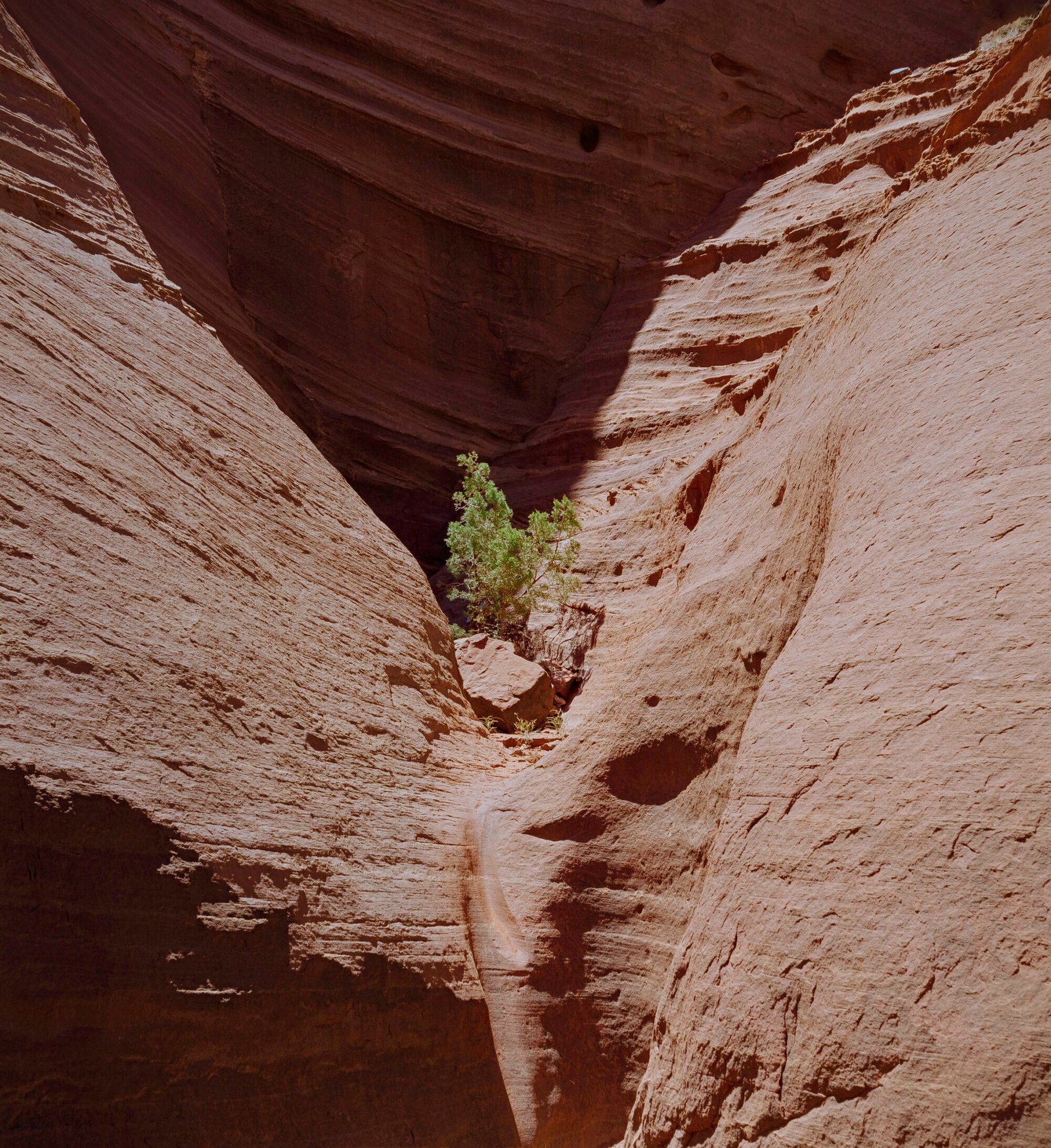 Jemez Pueblo Trail