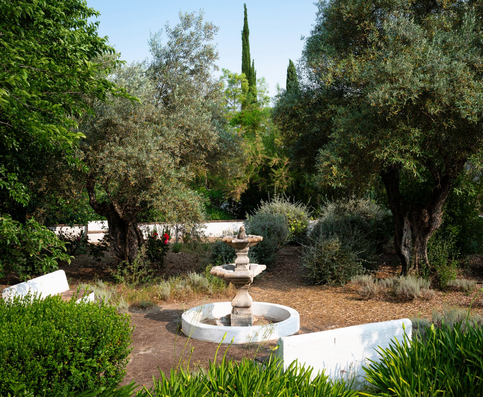 La Fuente