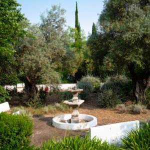 La Fuente