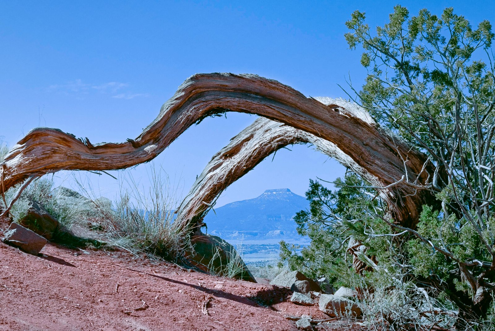 Cerro Pedernal Ghost Ranch