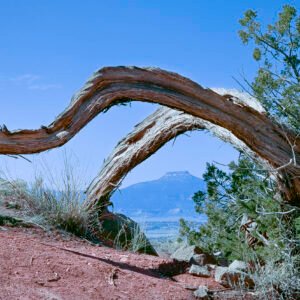 Cerro Pedernal Ghost Ranch