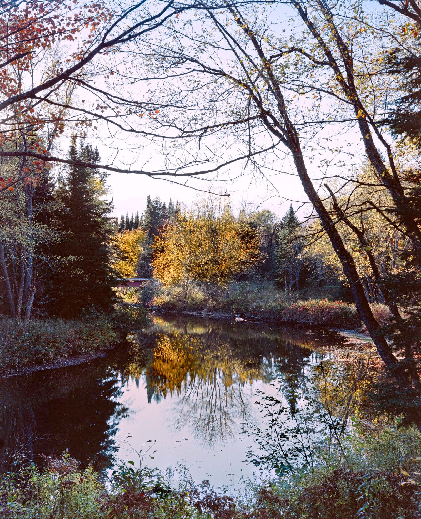 Dead Diamond River I