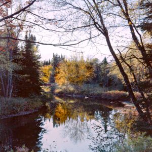 Dead Diamond River I
