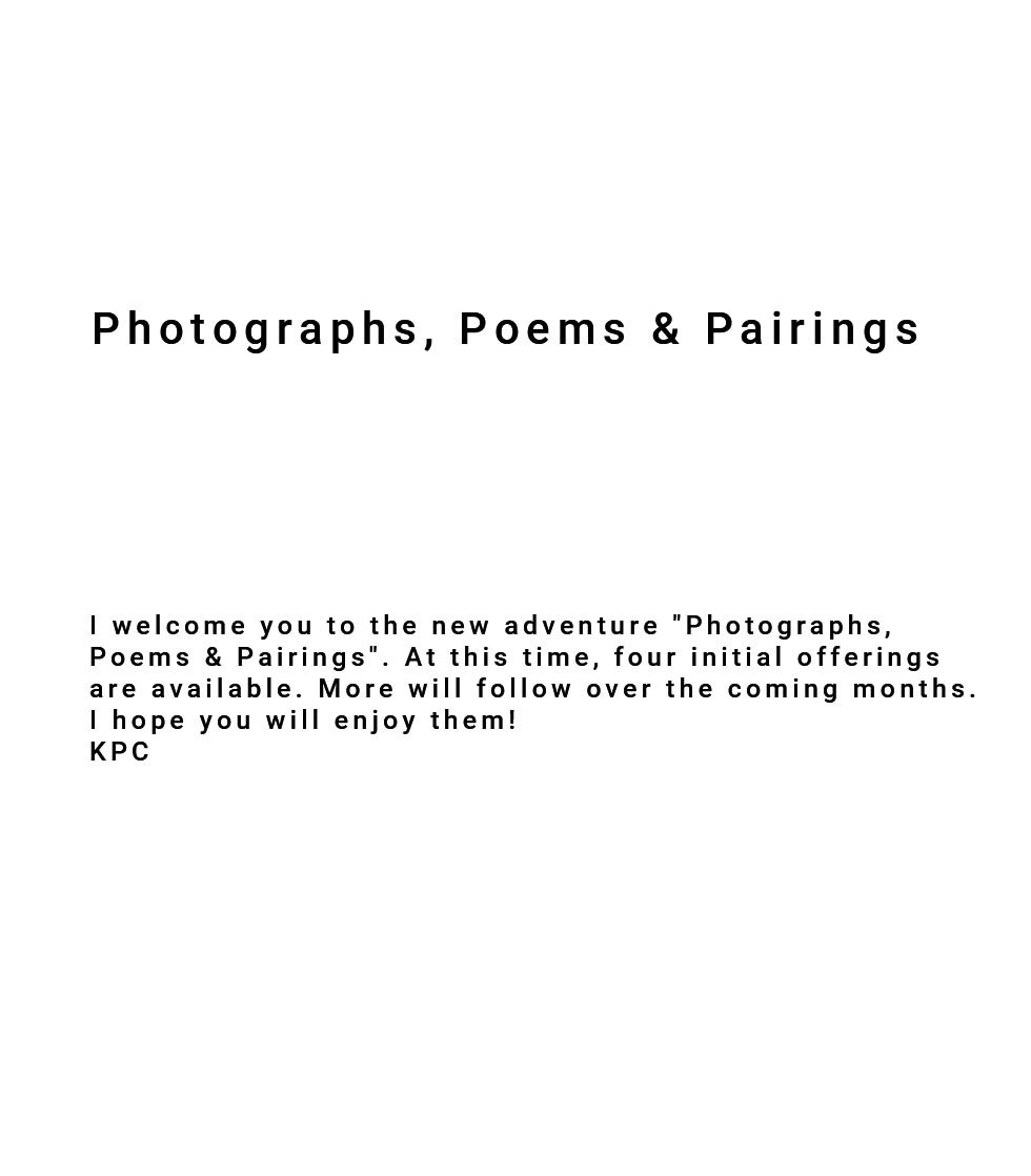 Parings Project Introduction